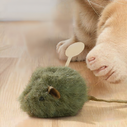 Cat Toy