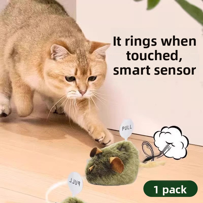 Cat Toy