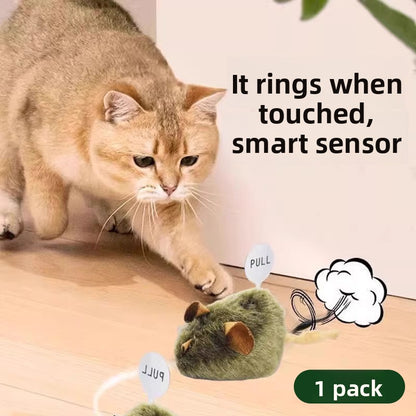 Cat Toy