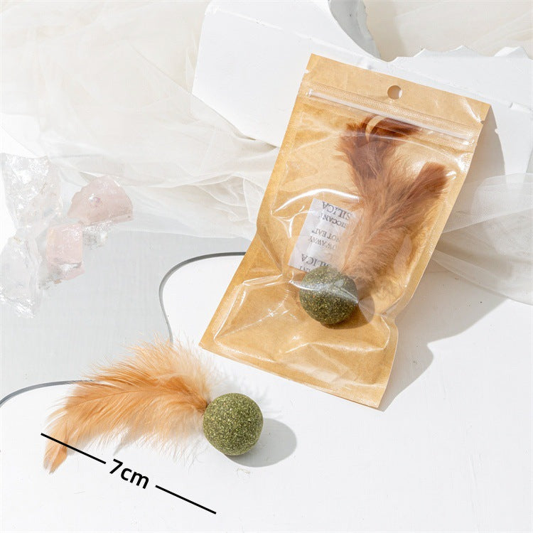 Cat Toy