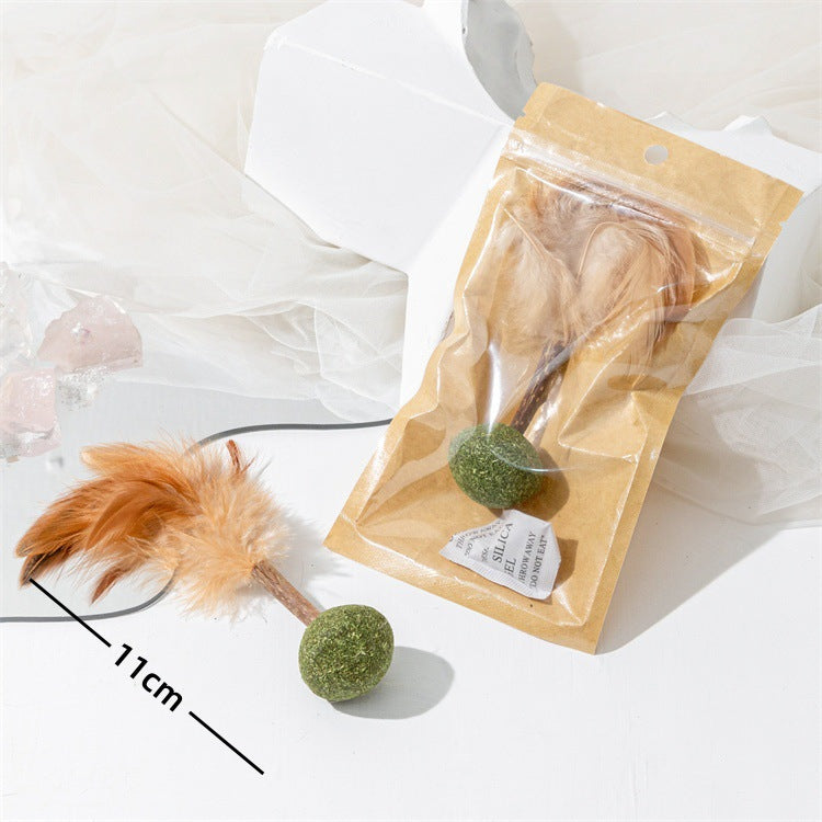 Cat Toy