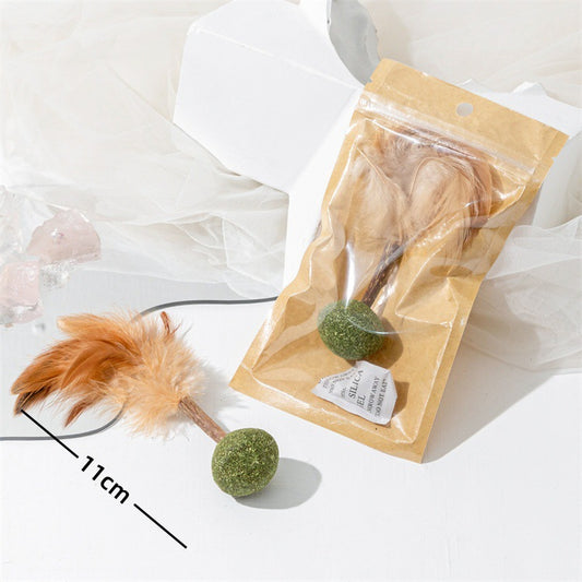 Cat Toy