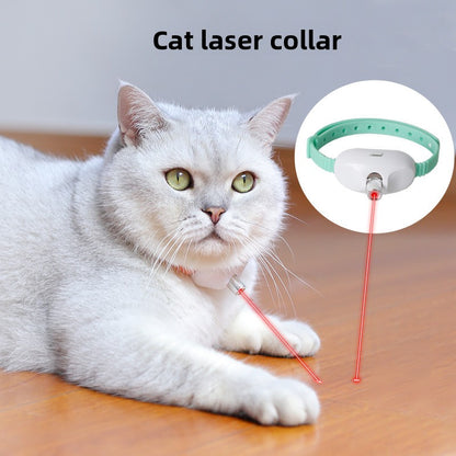 Cat toy