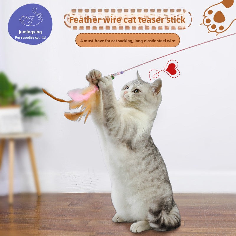 Cat toy teaser wand