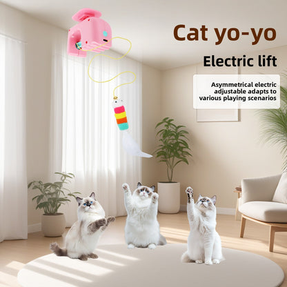 Cat toy yo-yo