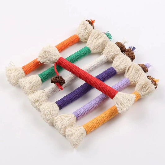 Cat Toys