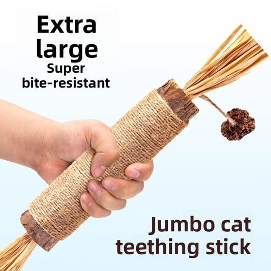 Cat Toys