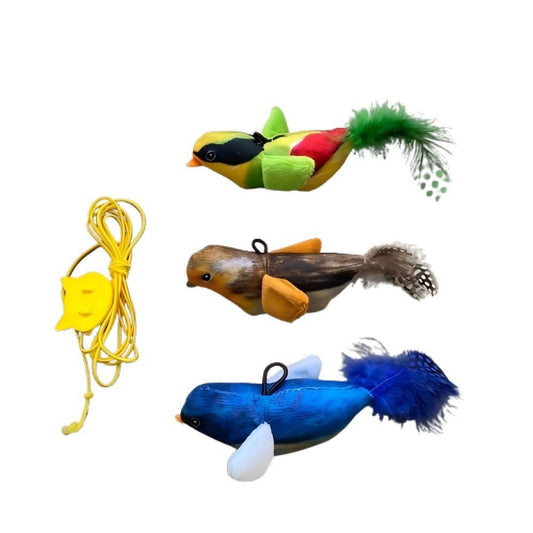 Cat Toys