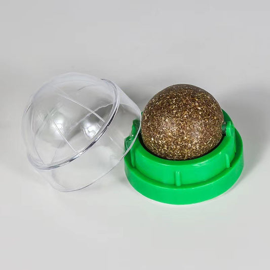 Cat Toys