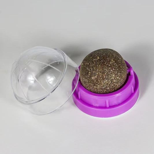 Cat Toys