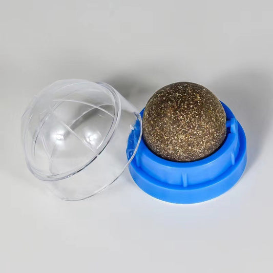 Cat Toys