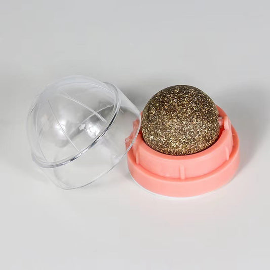 Cat Toys