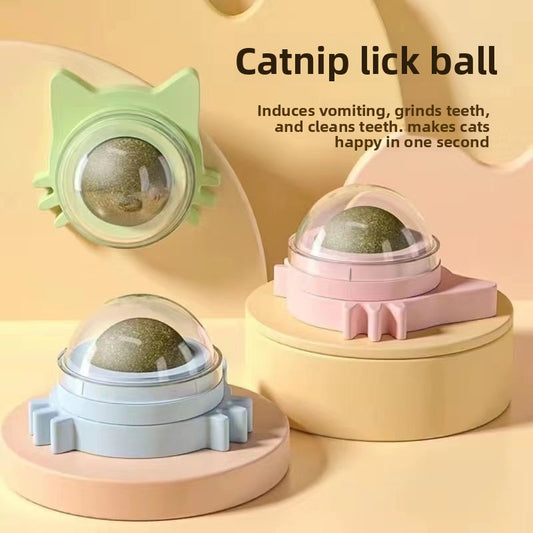 Cat Toys