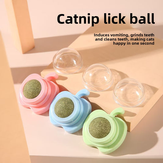 Cat Toys