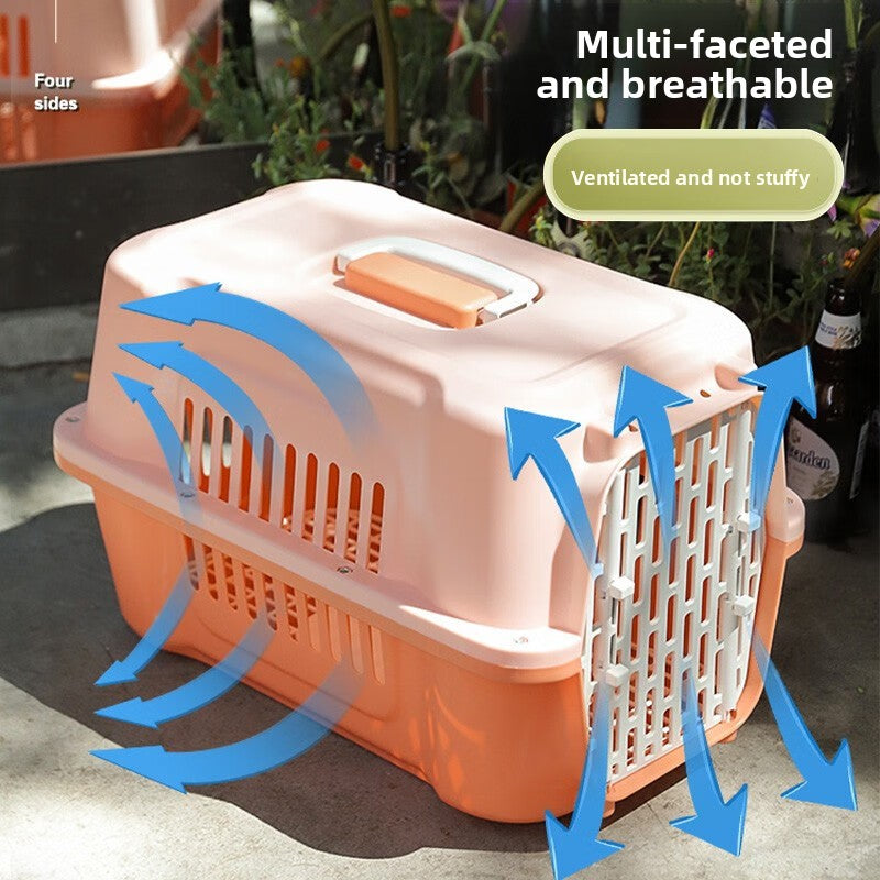 Cat Travel Box