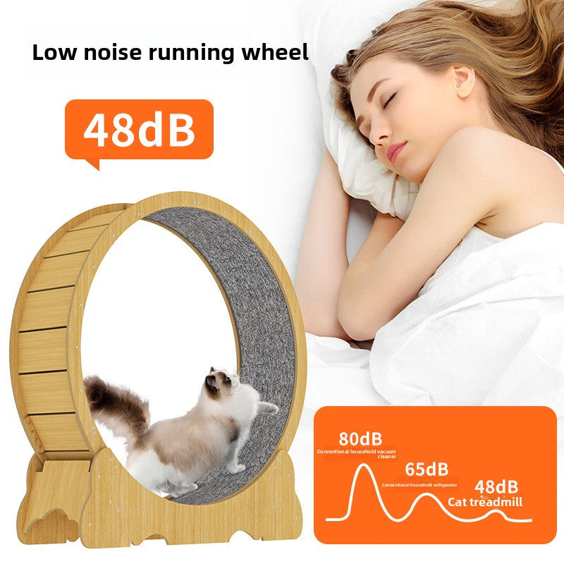 Cat Treadmill Exercise Wheel Pet Fitness Equipment
