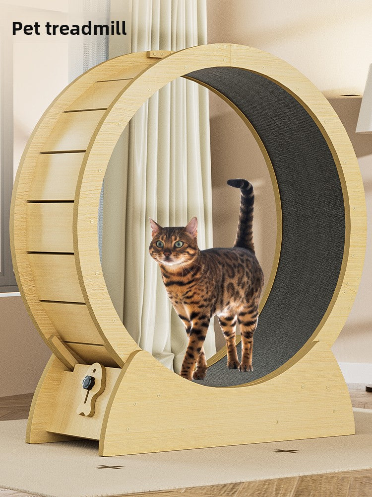 Cat treadmill