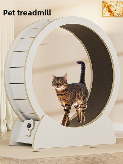 Cat treadmill