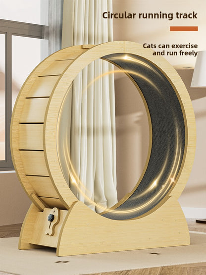 Cat treadmill