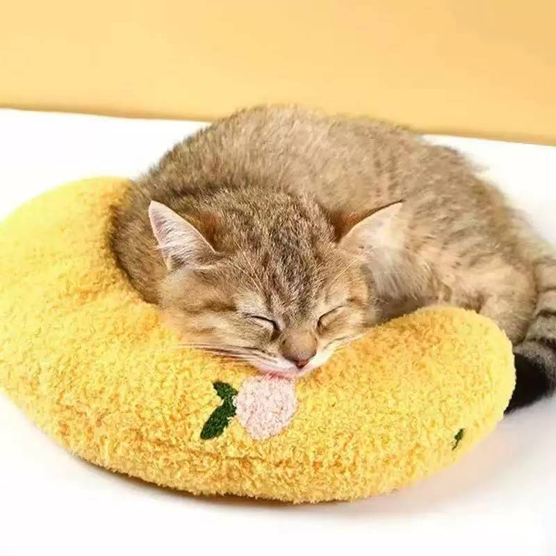 Cat u-shaped pillow