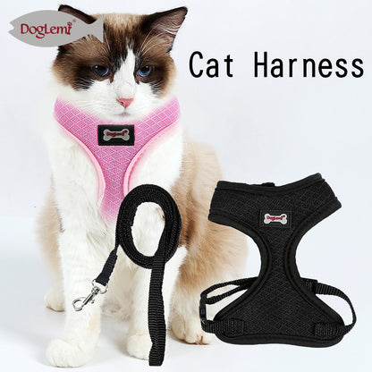 Cat vest leash