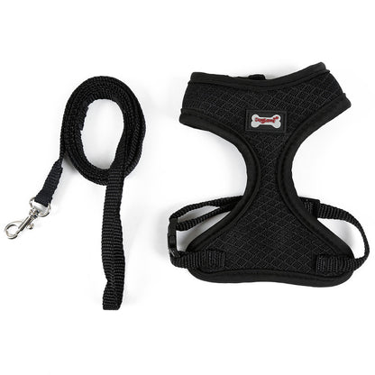 Cat vest leash