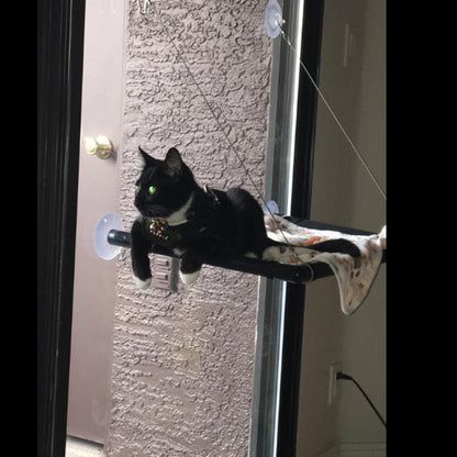 Cat Window Hammock