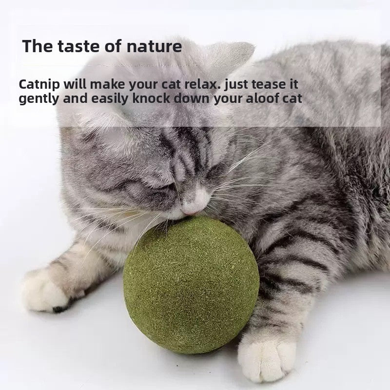 Catnip ball