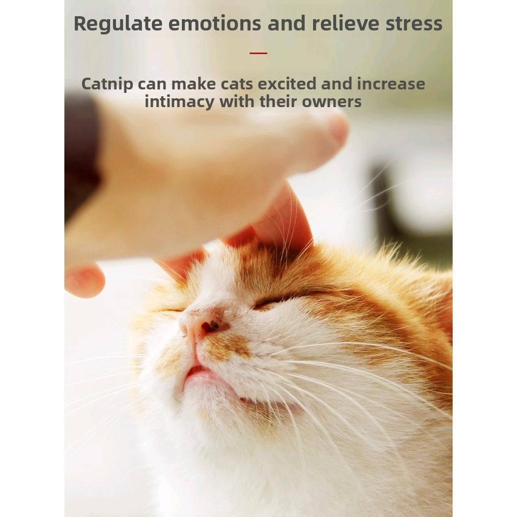 Catnip Bubble Blowing Toy