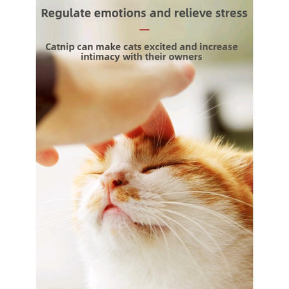 Catnip Bubble Blowing Toy