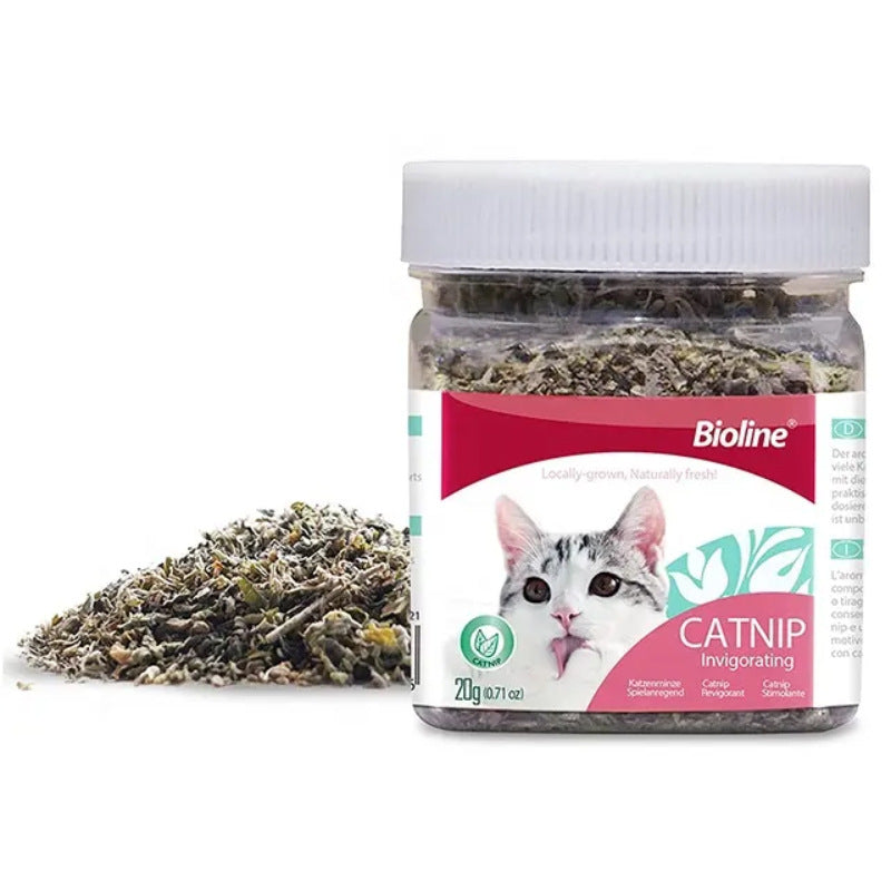 Catnip Bubble Blowing Toy