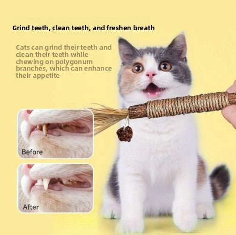 Catnip Chew Stick and Teaser Toy for Cats
