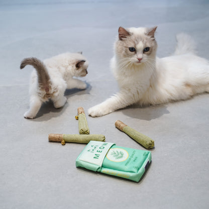 Catnip Chew Toy Stick for Dental Health