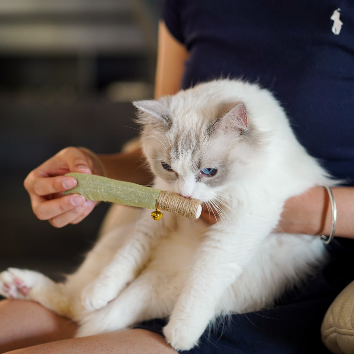 Catnip Chew Toy Stick for Dental Health