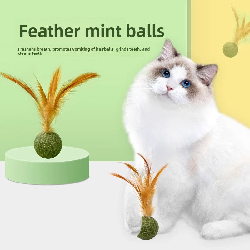Catnip Feather