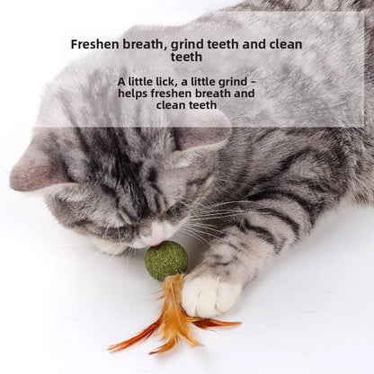 Catnip Feather