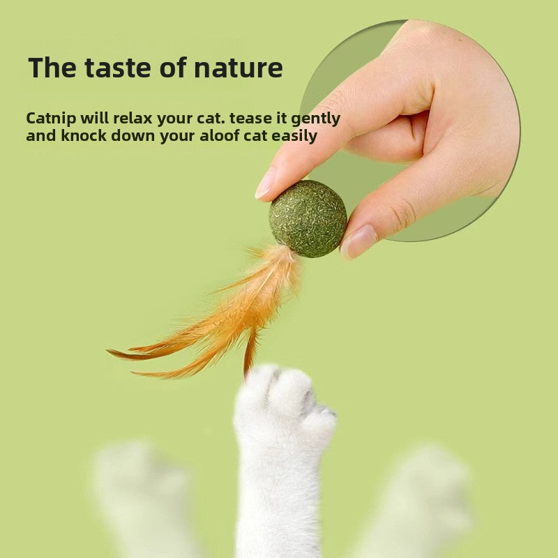 Catnip Feather