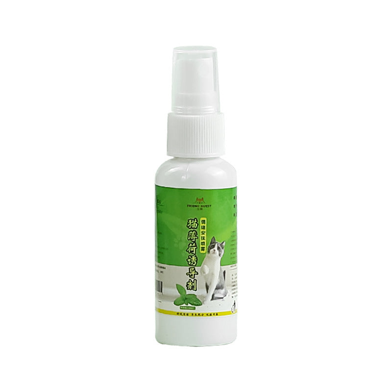 Catnip Powder