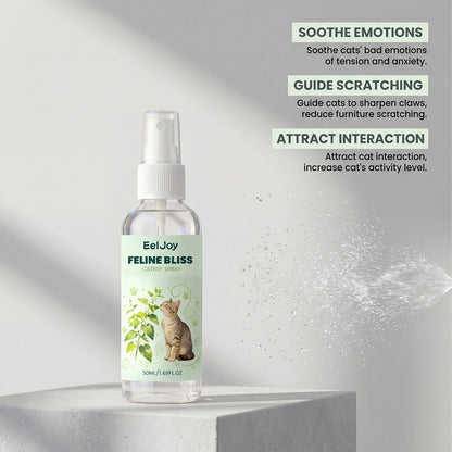 Catnip Spray