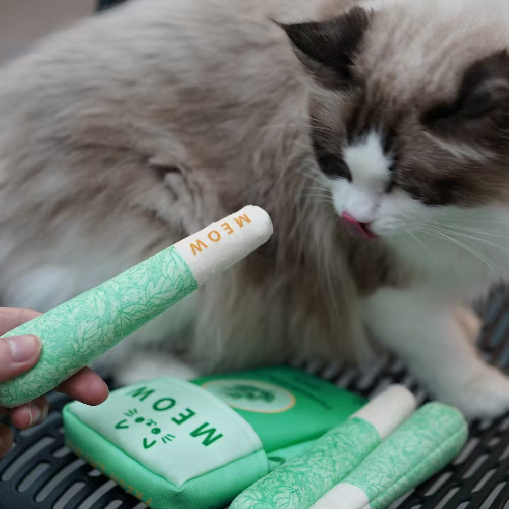 Catnip Toy