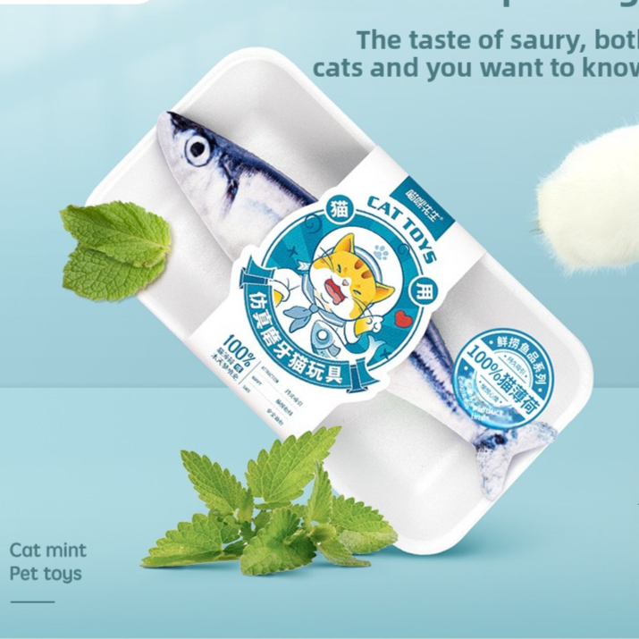 Catnip toy
