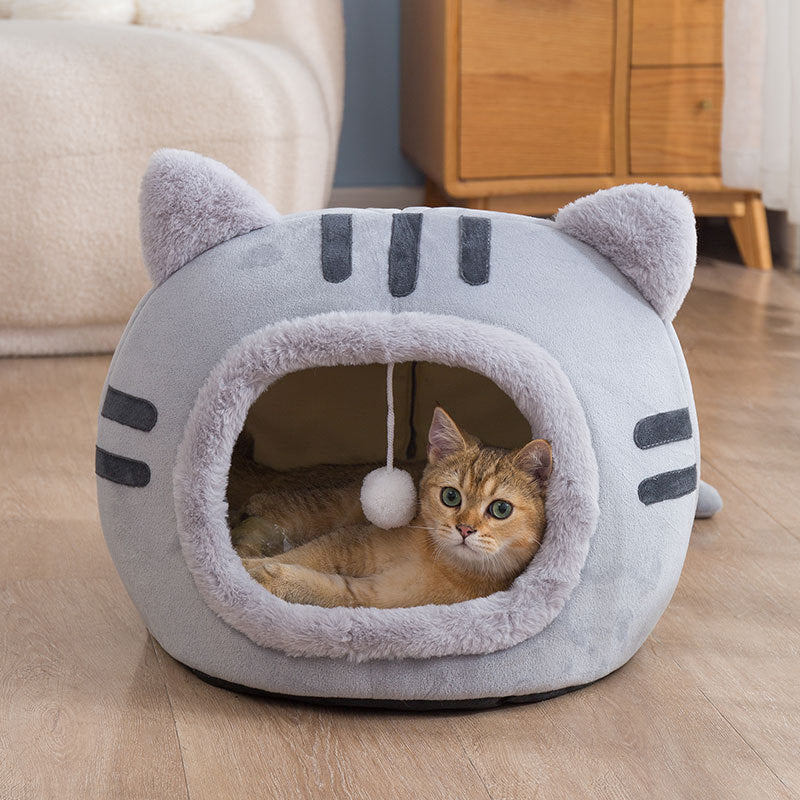 cattery