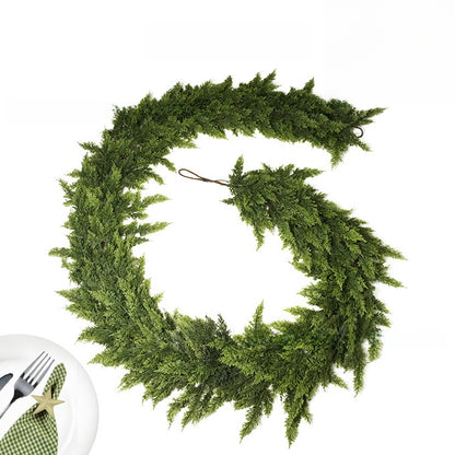 Cedar boughs for Christmas decoration
