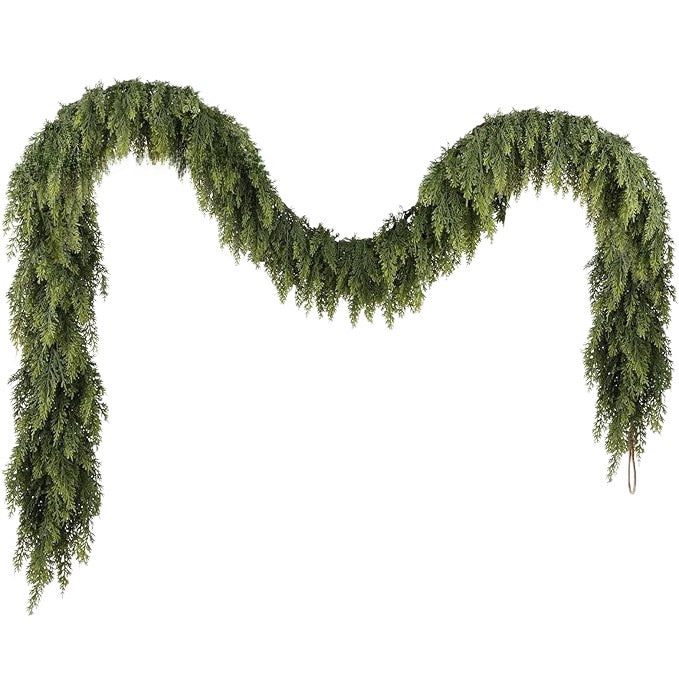 Cedar boughs for Christmas decoration