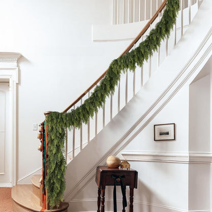Cedar boughs for Christmas decoration