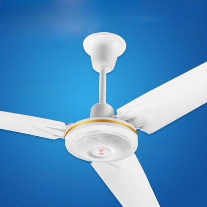 Ceiling Fan