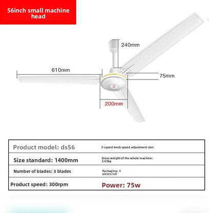 Ceiling Fan