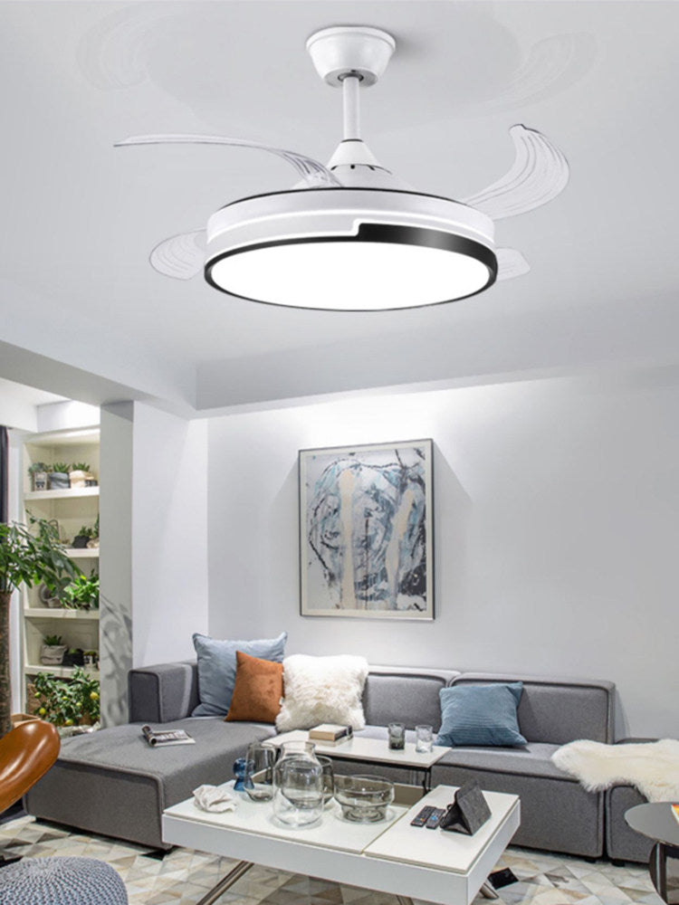 Ceiling Fan Light