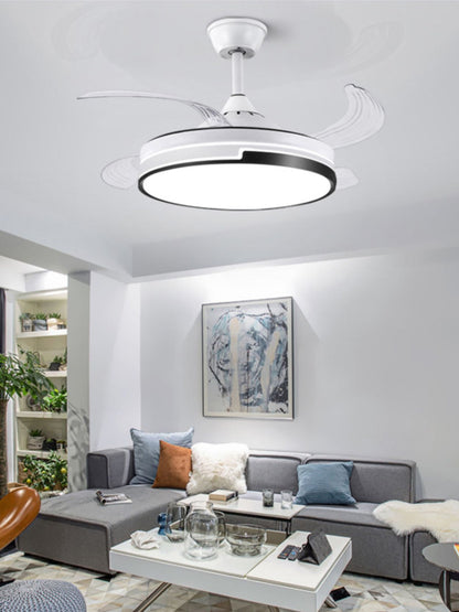 Ceiling Fan Light