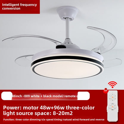 Ceiling Fan Light